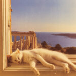 LO SCATTO DEL GATTO DI MARMO